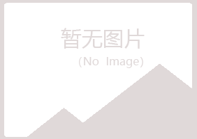 鹤岗兴安向雪美容有限公司